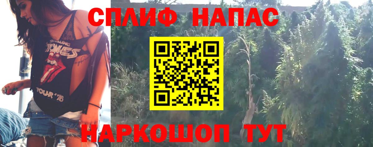 Бошки марихуана гибрид Октябрьский